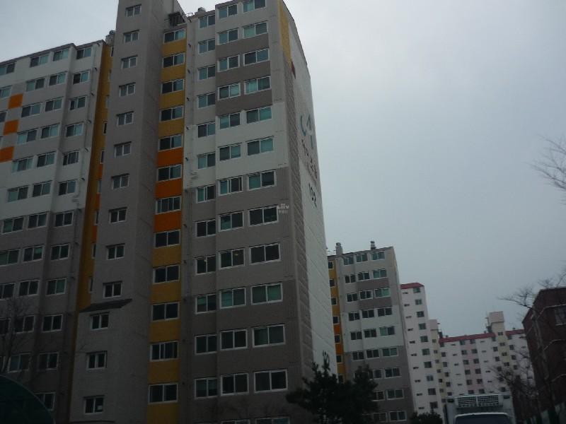 P1030445