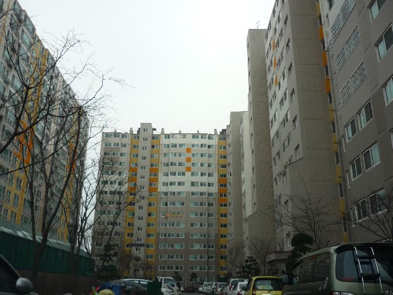 P1030447