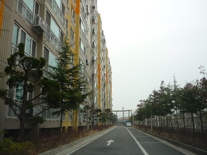 P1030453