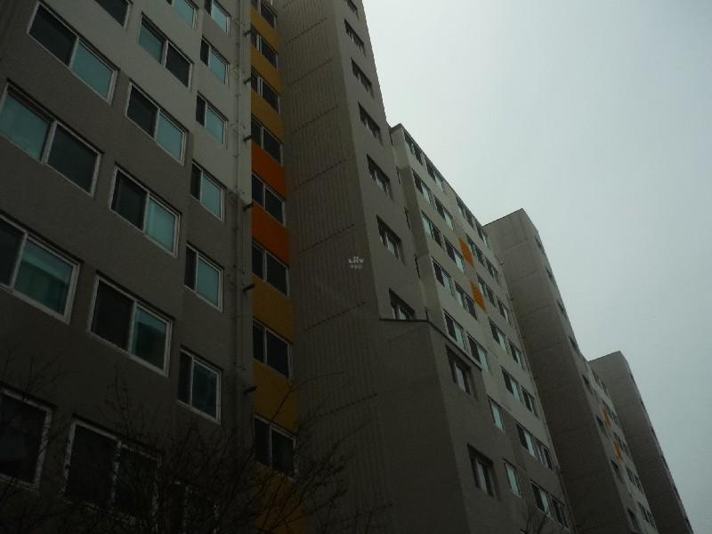 P1030459