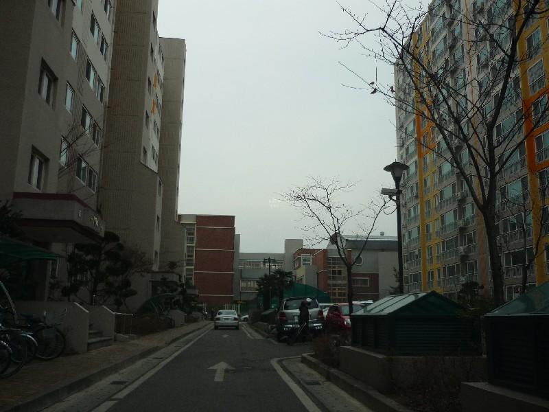 P1030460