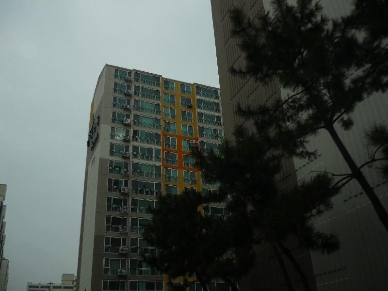 P1030463