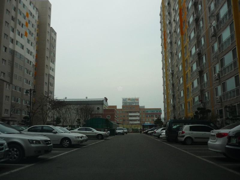 P1030450