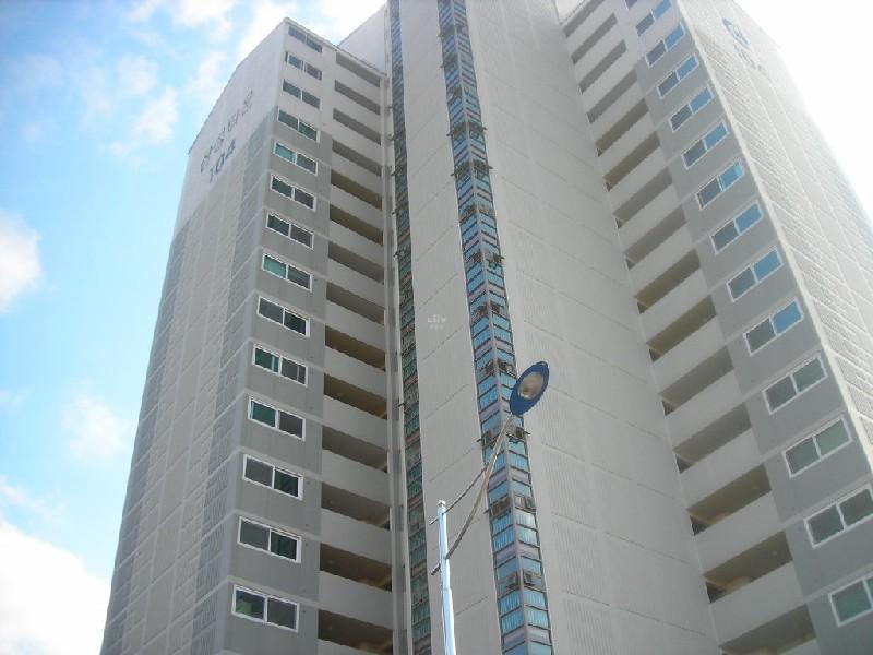 DSCN7384