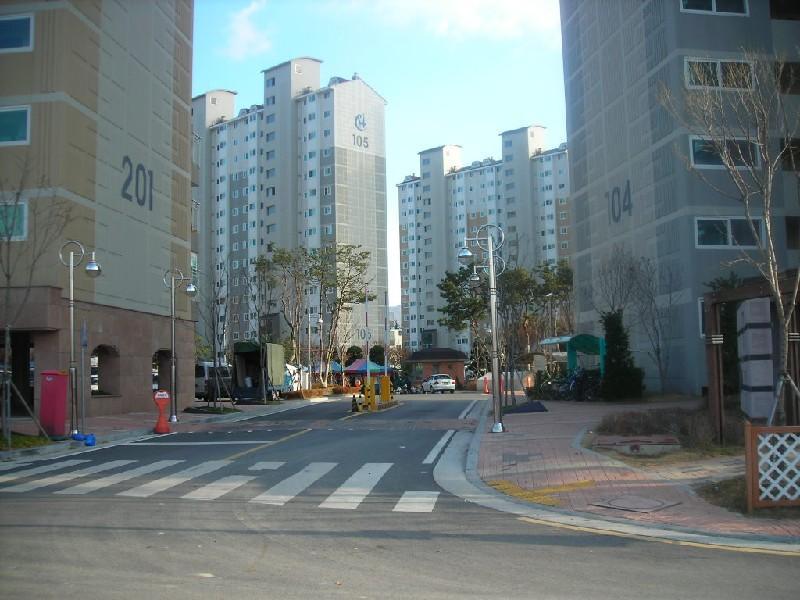 DSCN7385