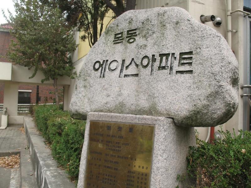 사진 339