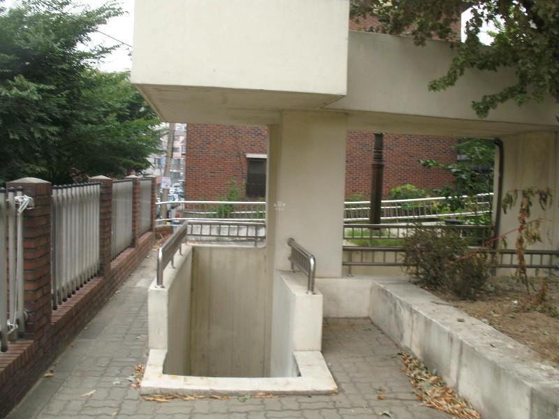 사진 341