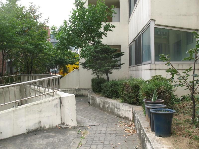 사진 342