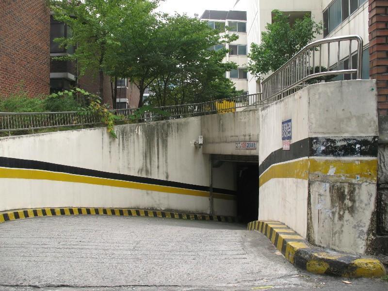 사진 337