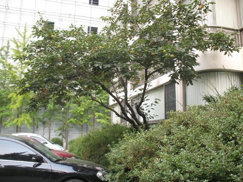 사진 034