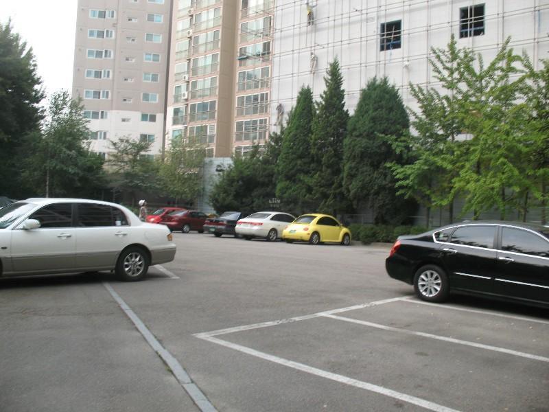 사진 033