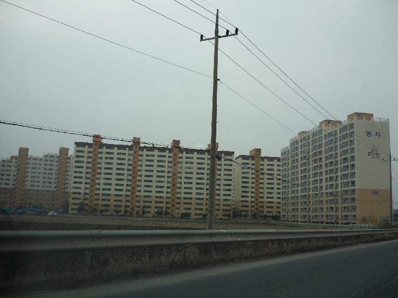 P1030351