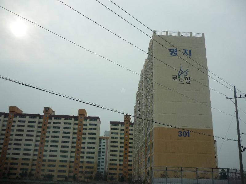 P1030352