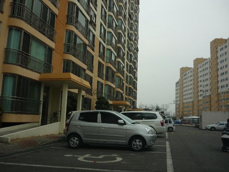 P1030356