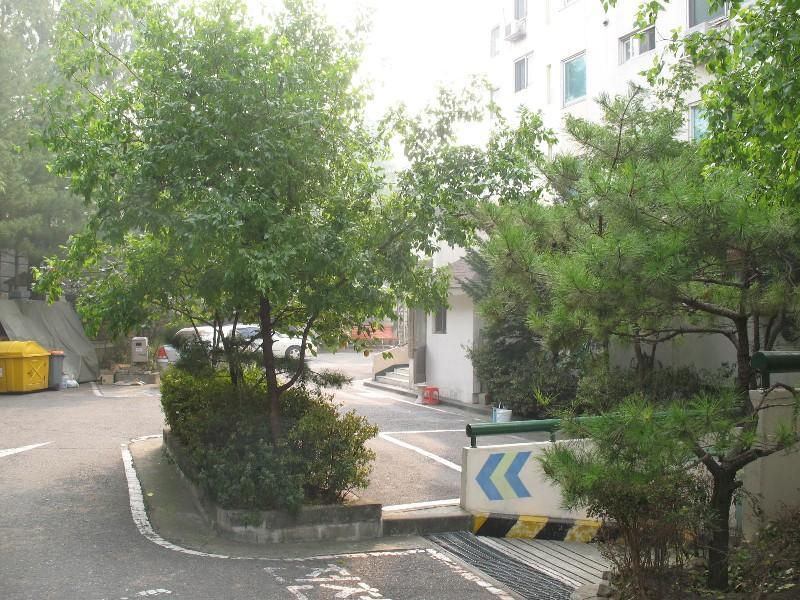 사진 084