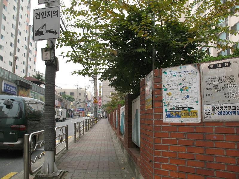 사진 495