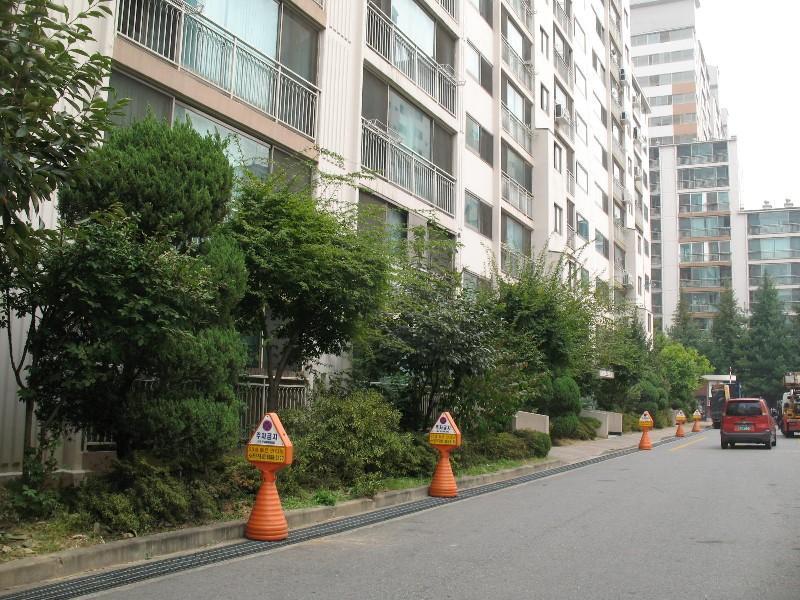 사진 501