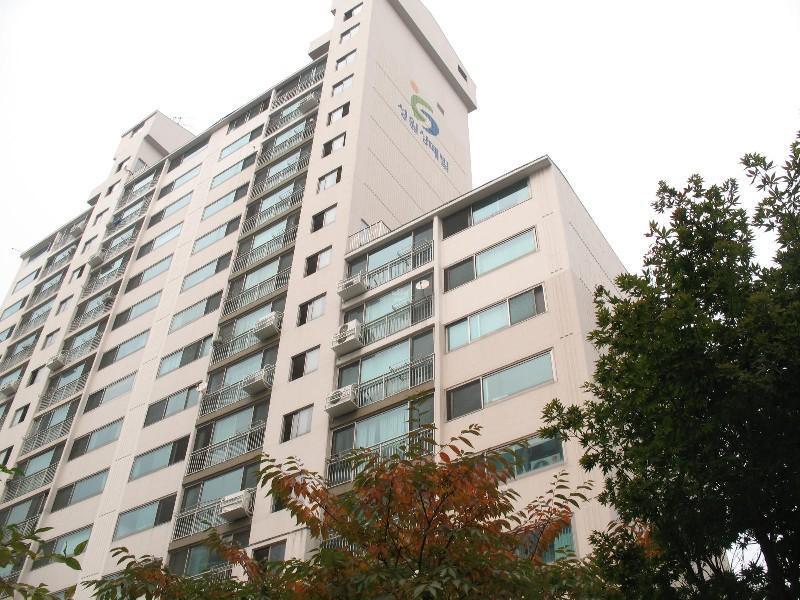 사진 494