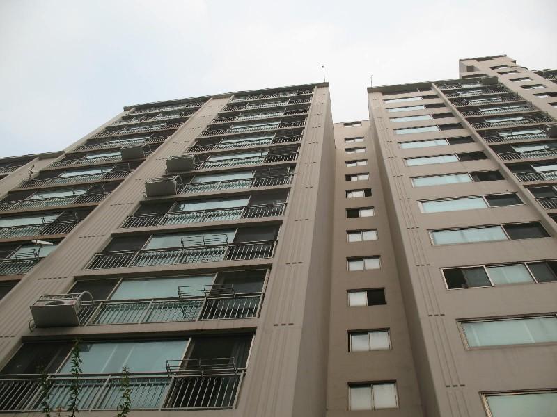 사진 498