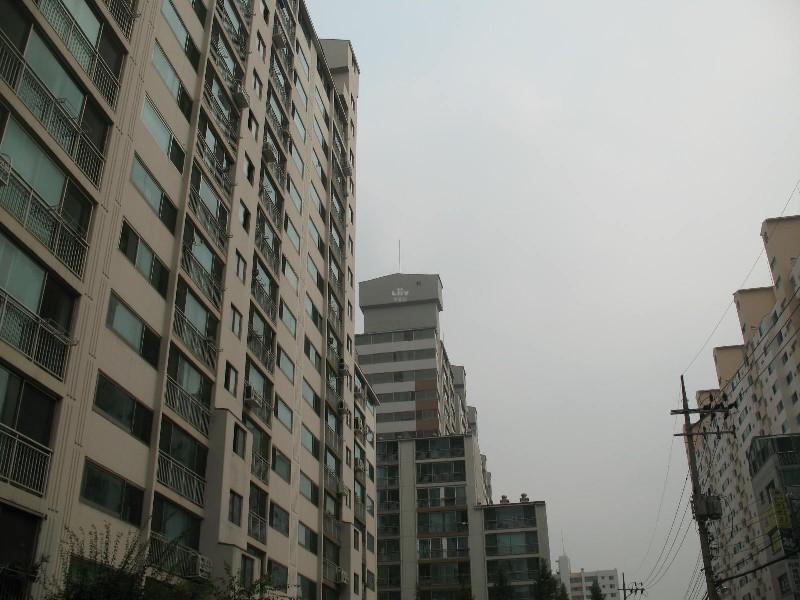 사진 503