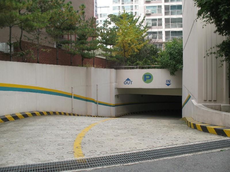 사진 499