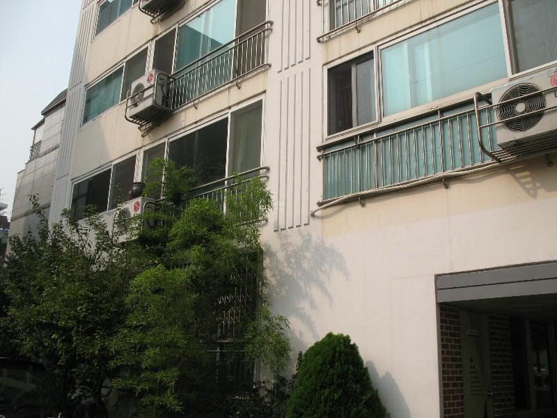사진 514