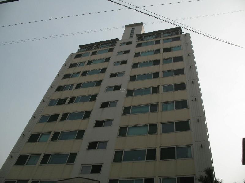사진 510