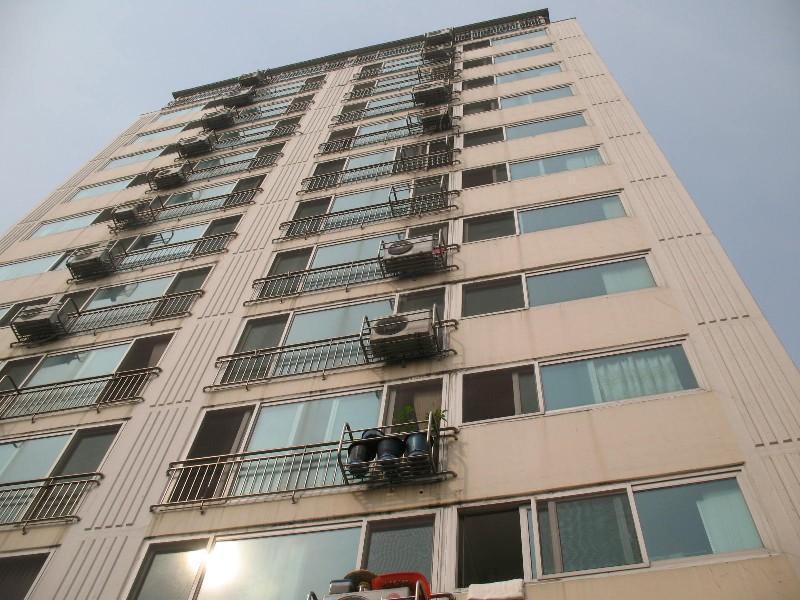 사진 515