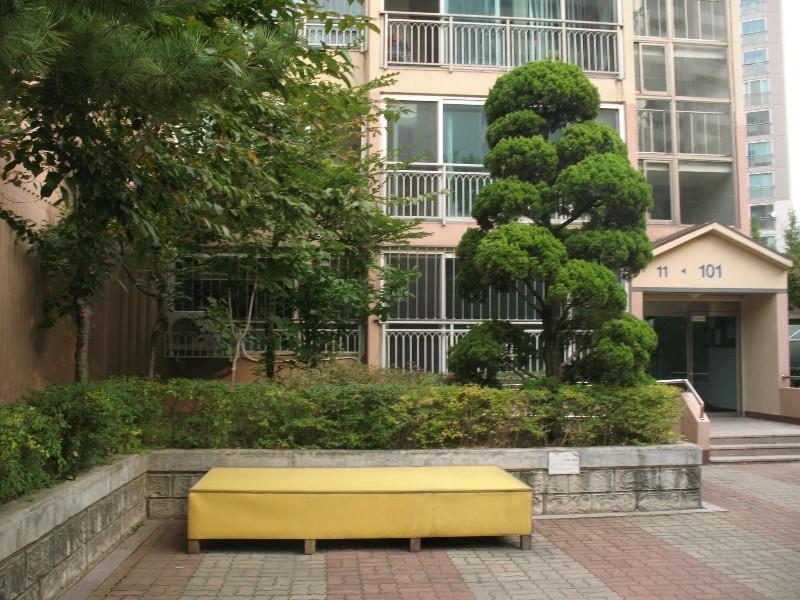 사진 011
