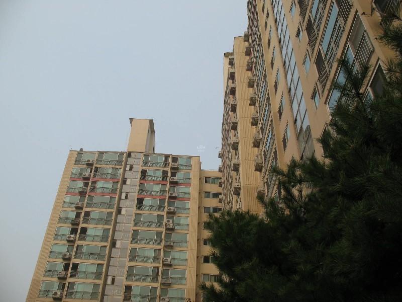 사진 013