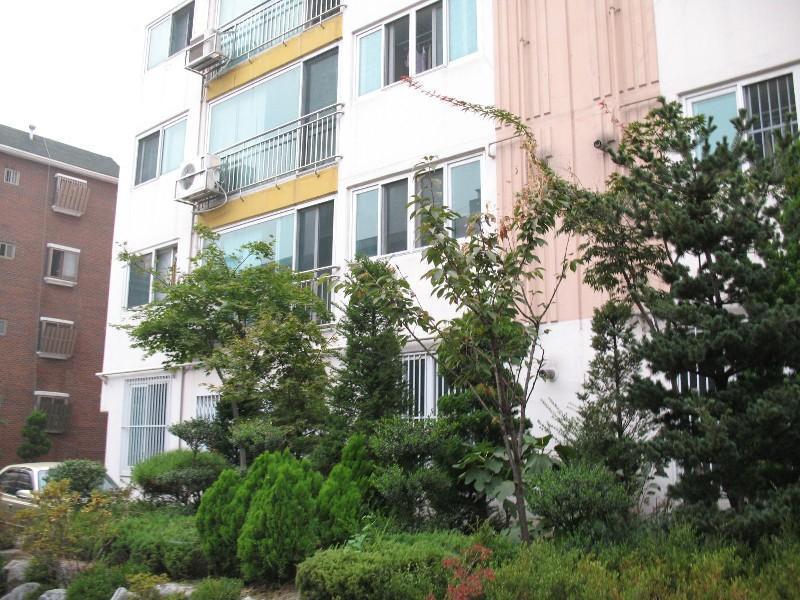 사진 956