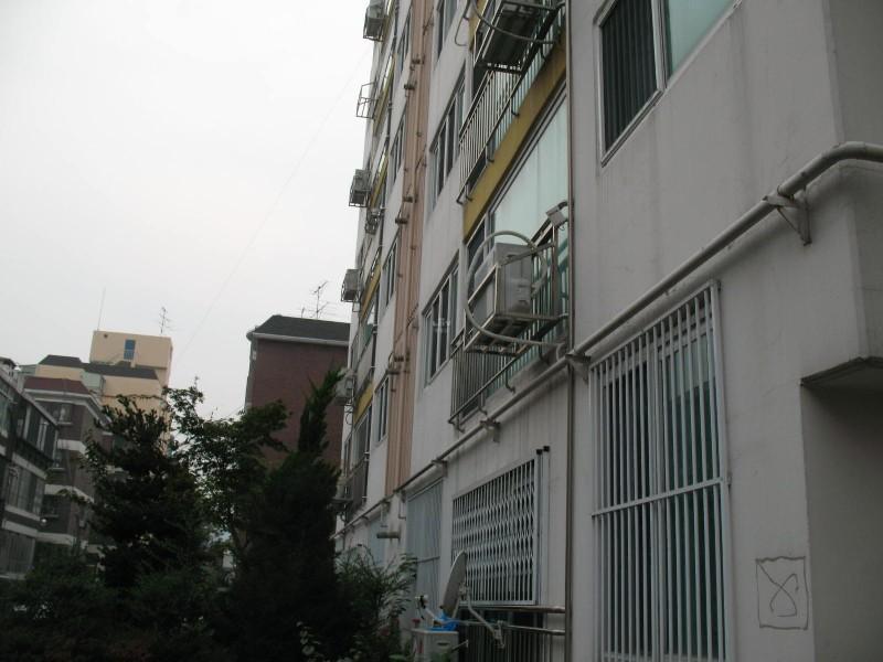 사진 953