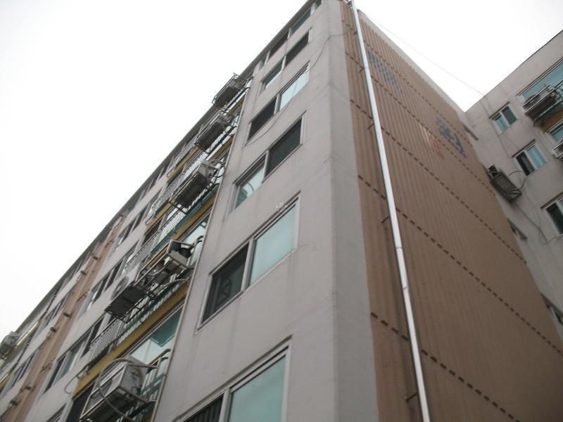 사진 954