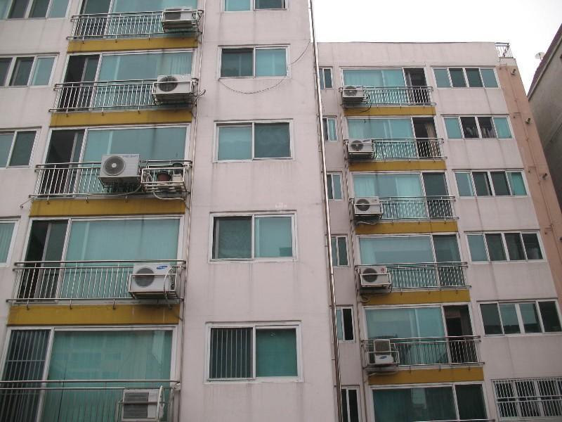 사진 955