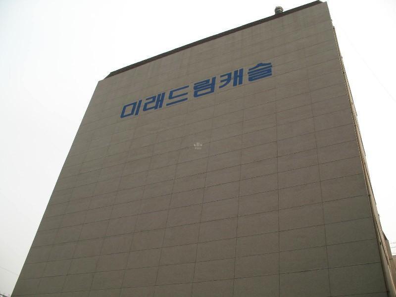 사진 842