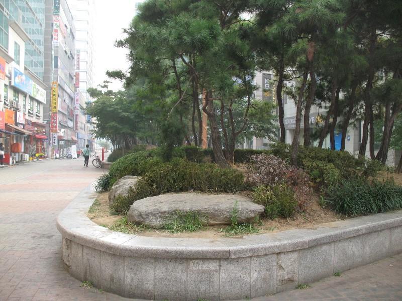 사진 074