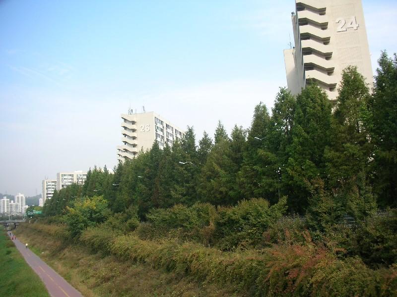 DSCN5787
