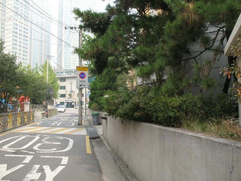 사진 203