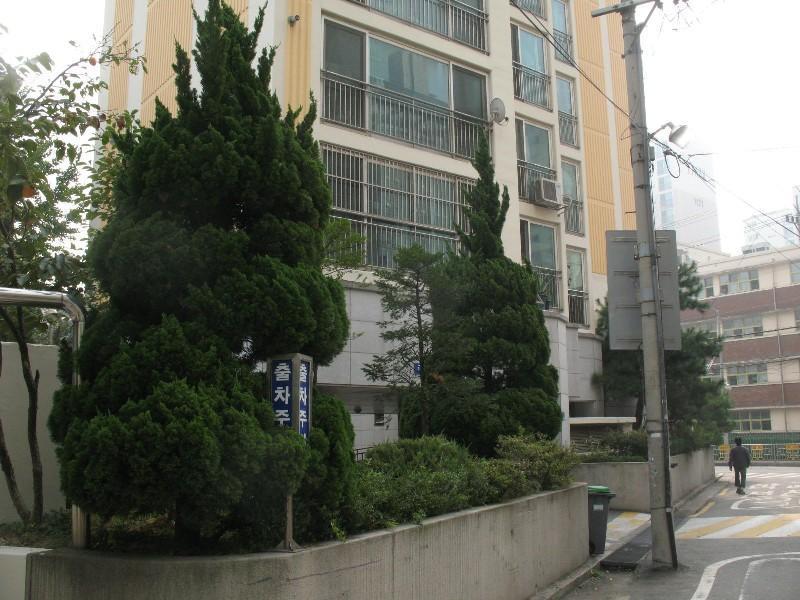 사진 207