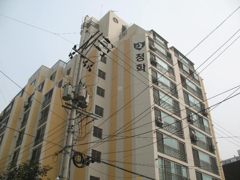 사진 197