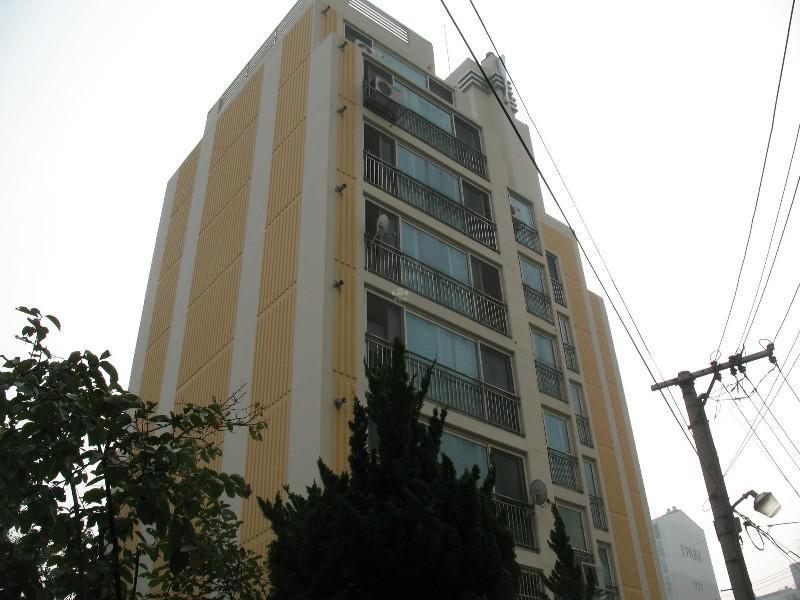 사진 206