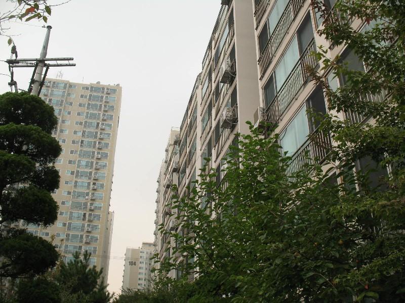 사진 668