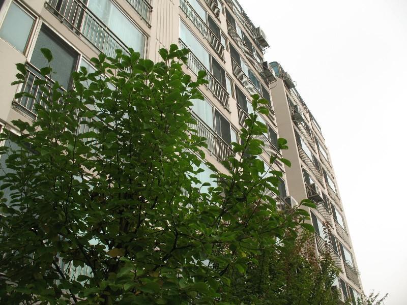 사진 671