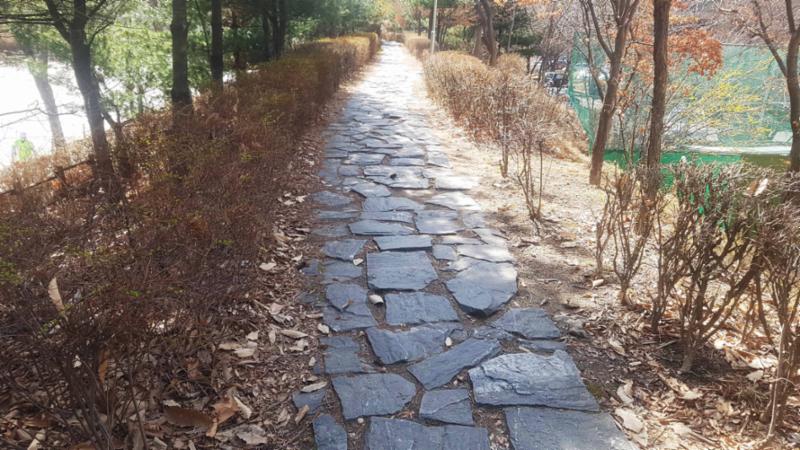 단지를 따라 걸으며 자연을 느낄 수 있는 쾌적한 단지 내 산책로구요