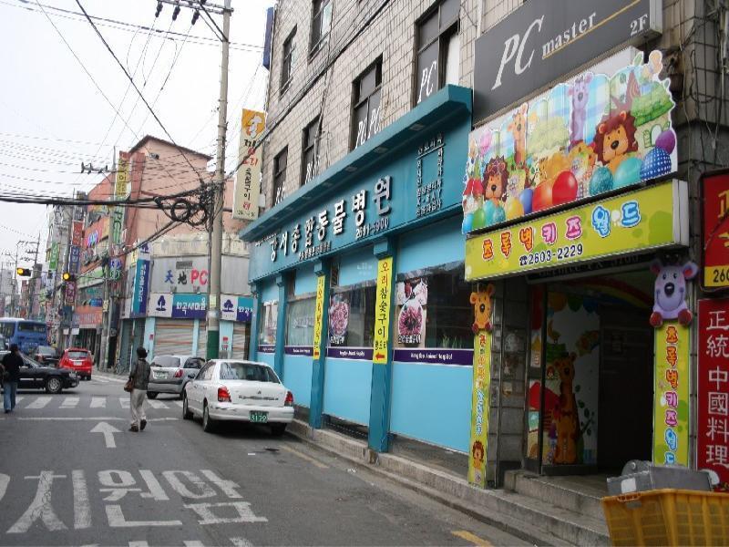 강서종합동물병원