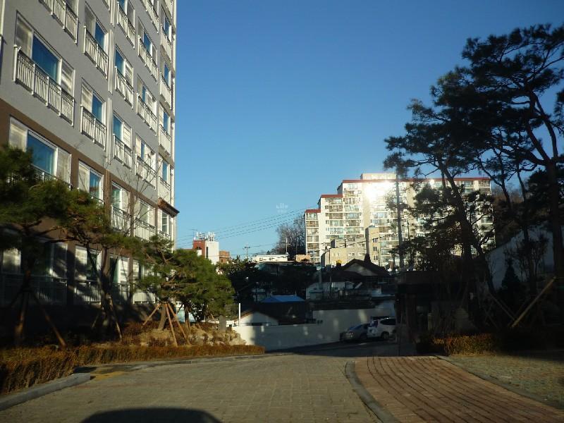 P1050301