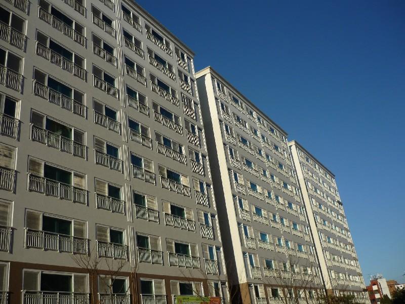 P1050290