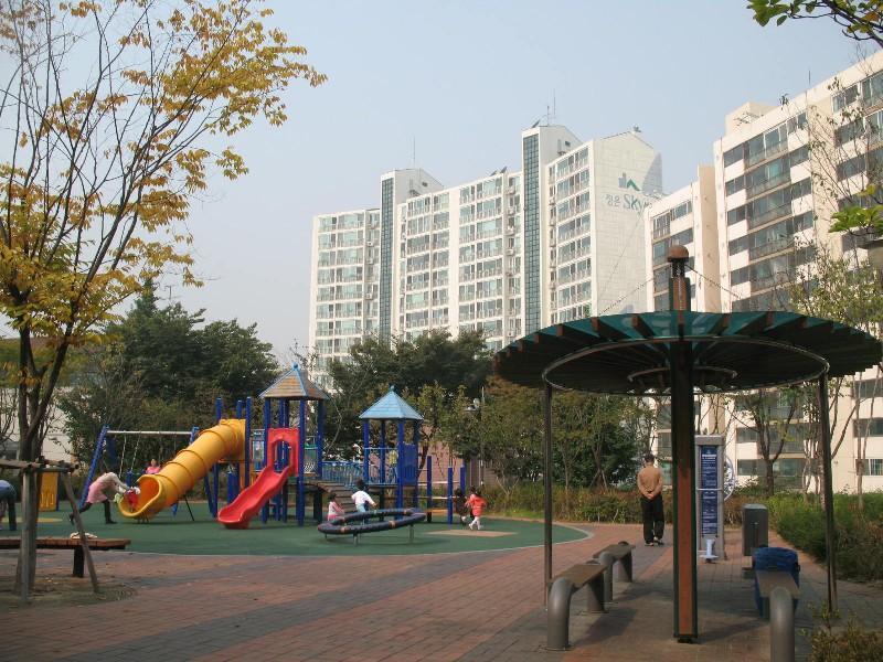 사진 311