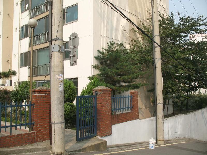 사진 303