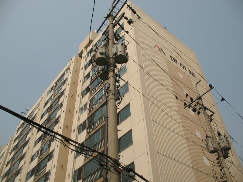 사진 304